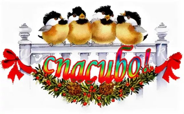 Спасибо на фоне зимы