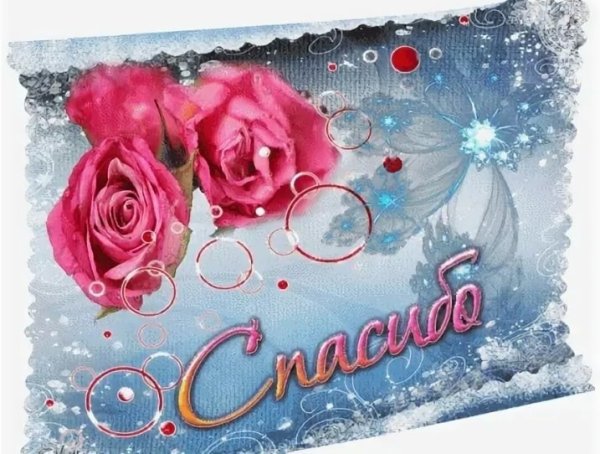 Спасибочки зимнее