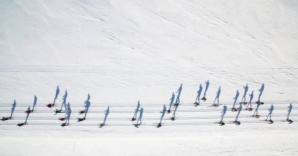 Лыжники Ноты