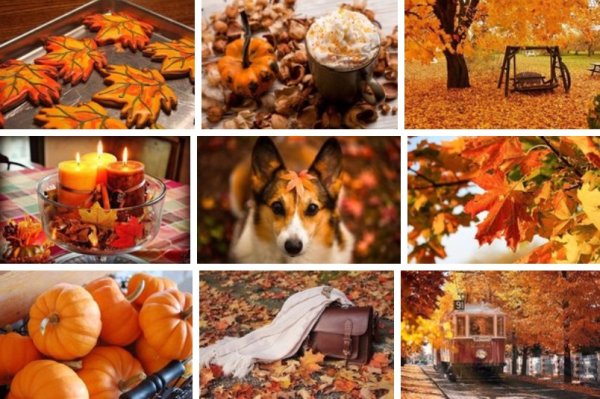 Осенние выходные