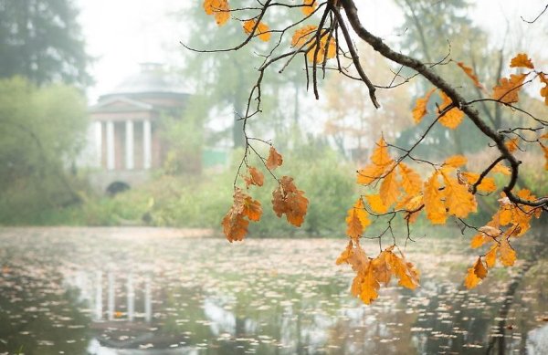 Утро поздняя осень город