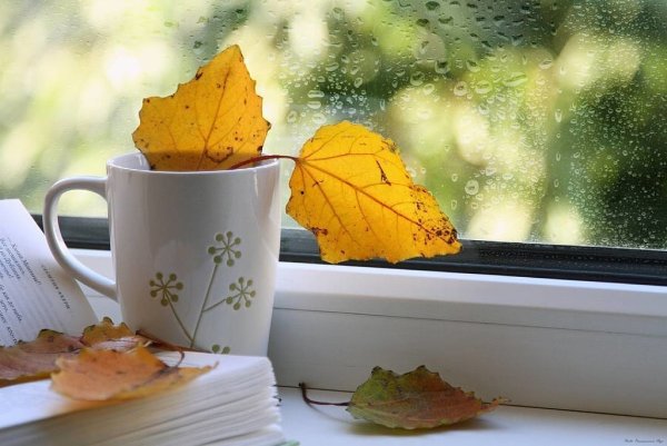 Осень окно кофе