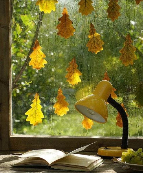 Осень за окном