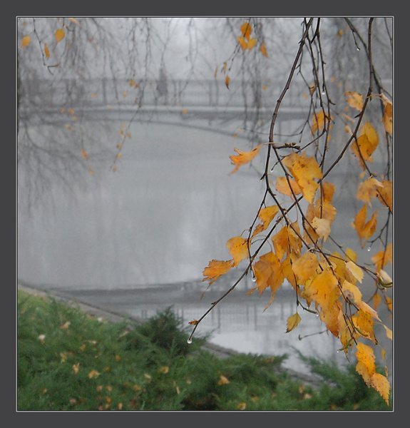 Пасмурное дождливое осеннее утро