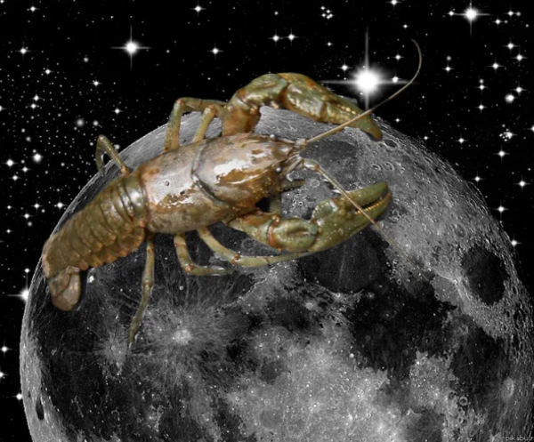 Ведро космос