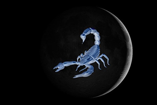 Скорпион фон