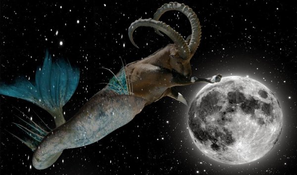 Знаки зодиака. Козерог