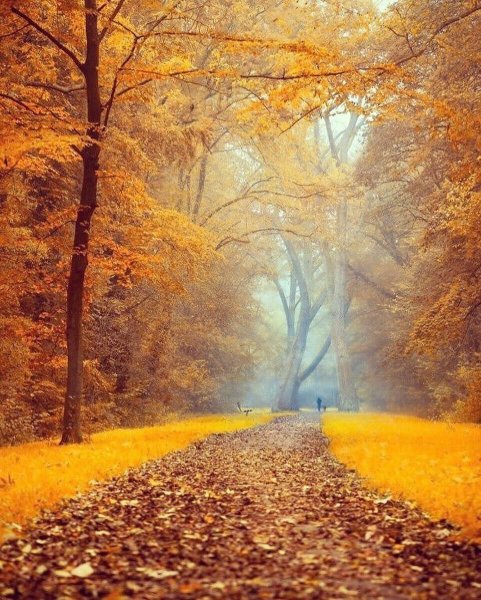 Осенний день