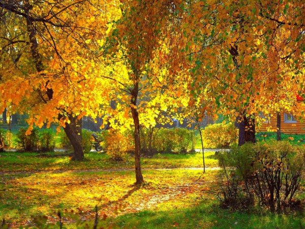 Осенний пейзаж сентябрь