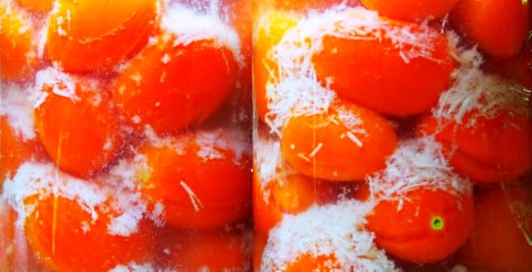 Заготовка на зиму помидоры в снегу