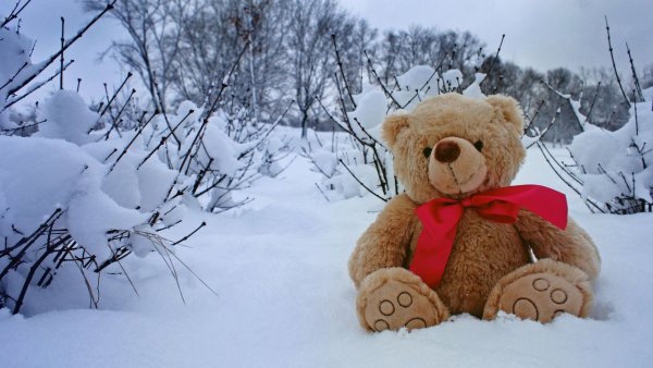 Мишка в зимнем лесу