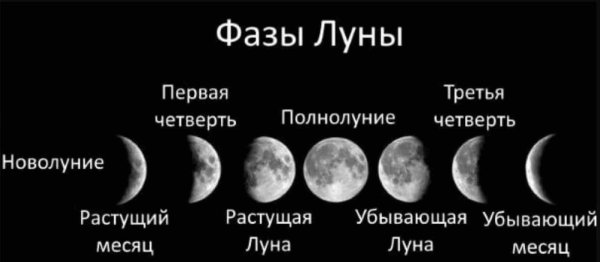 Все фазы Луны и их названия