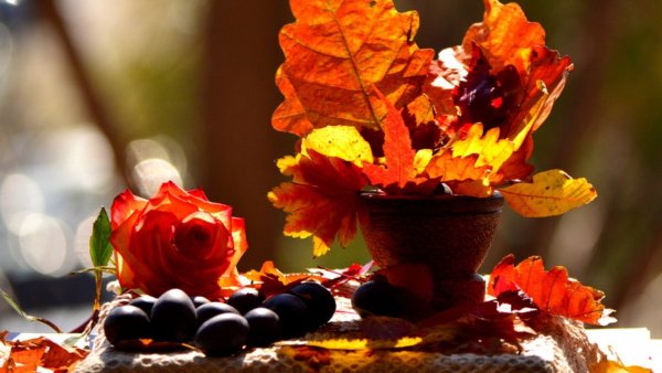 Доброе утро осень