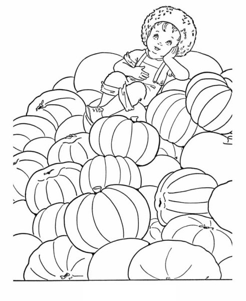 Раскраска Осенний урожай