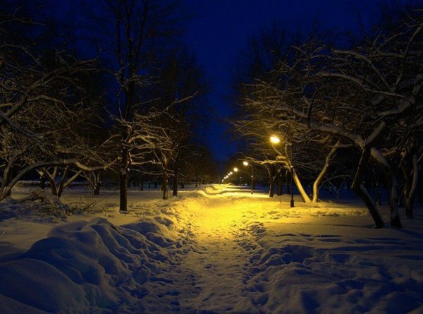 Ночь зимой