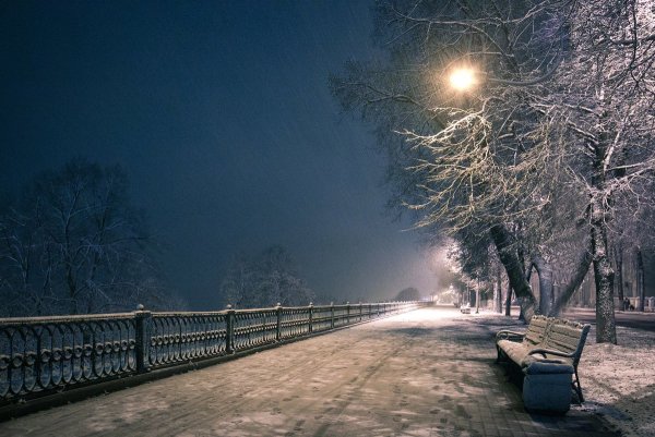 Зимняя ночь в городе