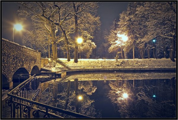 Ночной зимний парк с фонарями