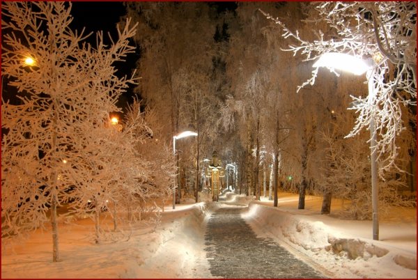 Зимняя аллея