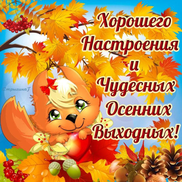 Открытки прекрасного осеннего дня