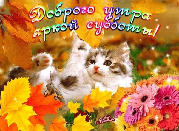 С добрым осенним субботним утром
