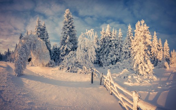 Зимняя природа
