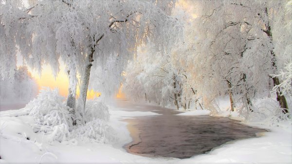 Красивые снежные пейзажи