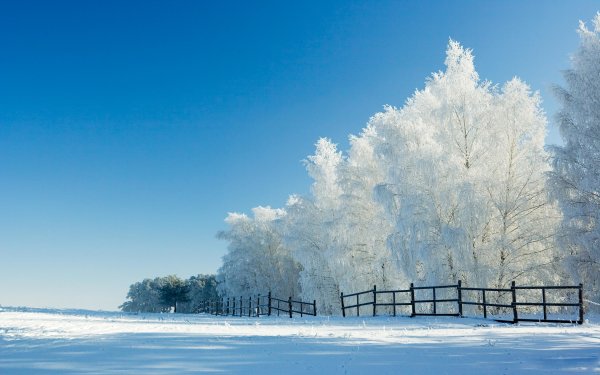 Январь природа