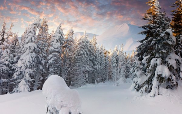 Снежная зима