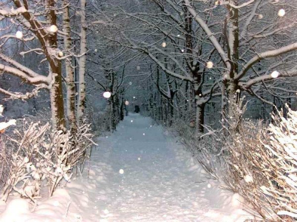 Снег ложится