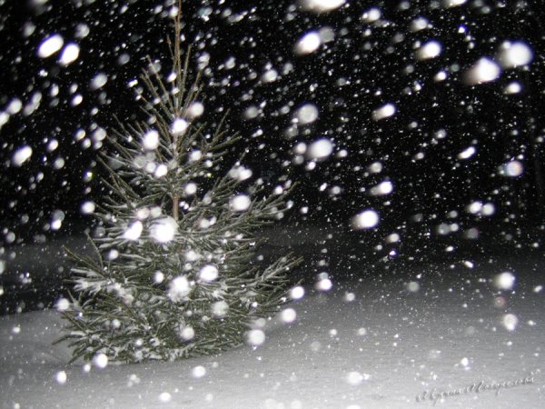 Снежок кружится