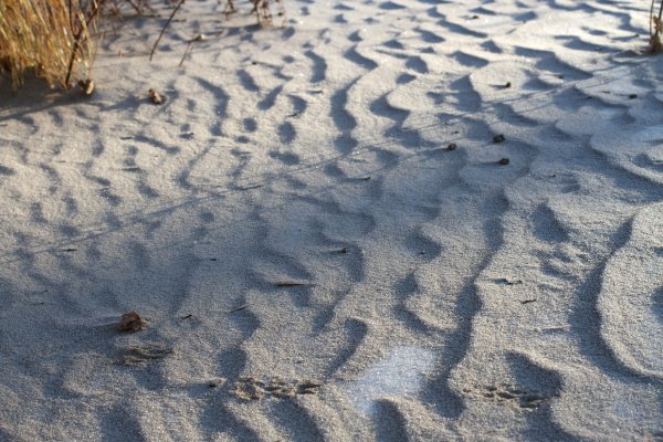 Песок зимой