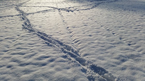 Песок на снегу