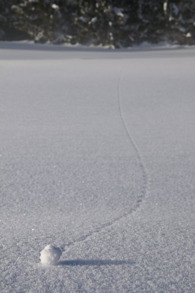 Лёд на асфальте фото