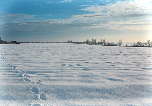 Зимний Горизонт