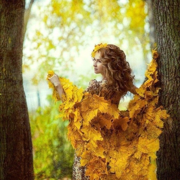 Фотосессия Золотая осень