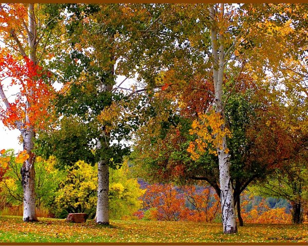 Золотая осень Паустовский