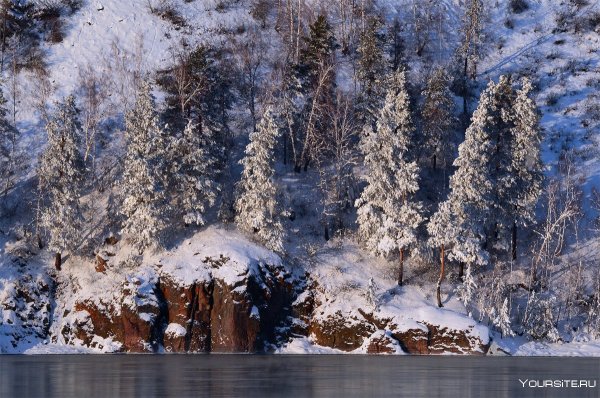 Сибирь Снежная Тайга