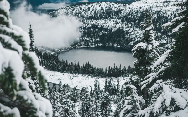 И Тайга кругом, среди замерзших елей и болот...
