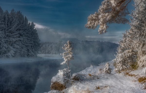 Тайга зимой Енисей