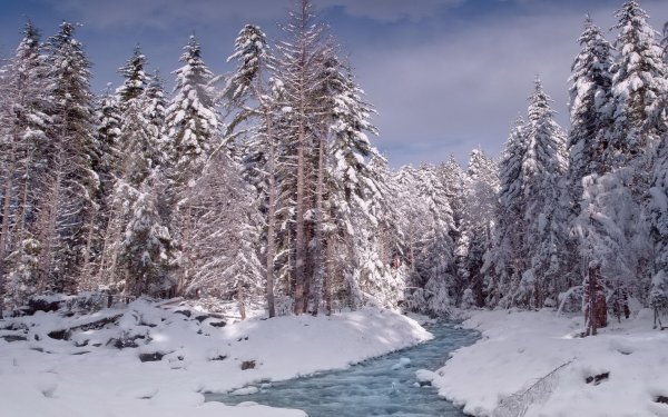 Зима в Сибири