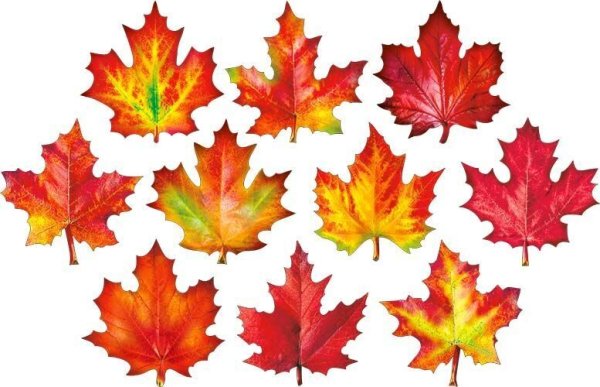 Осенние листочки