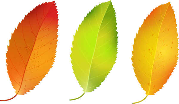 Цветной лист