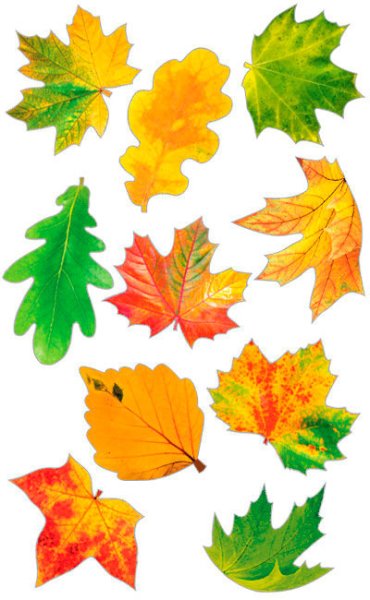 Листочки для украшения