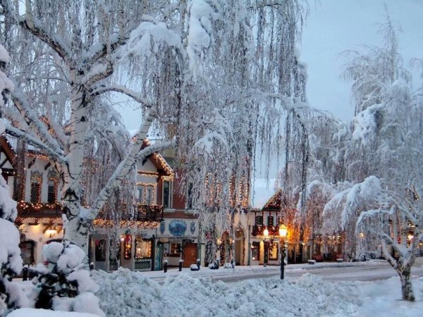 Зимнее чудо