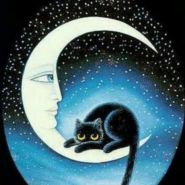 Лунные кошки