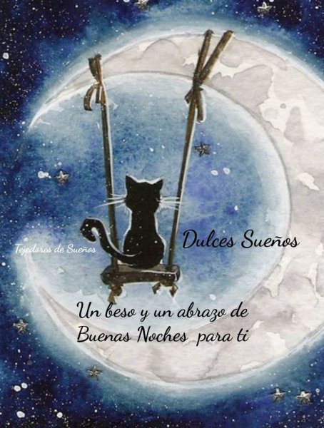 Кот на месяце