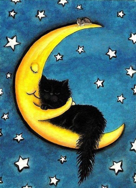 Лунные коты