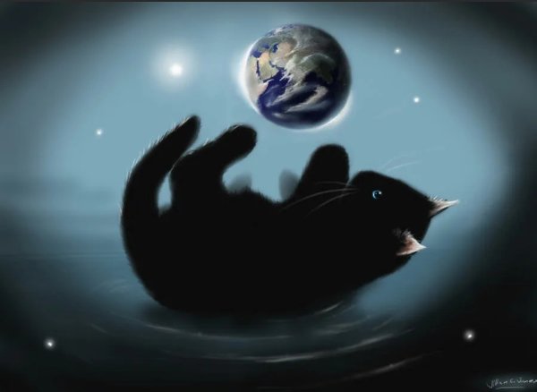 Кот в земле