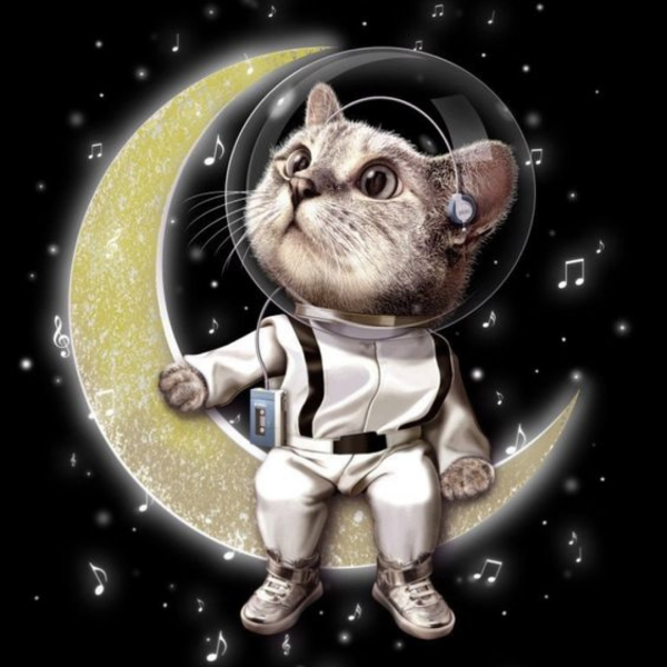 Кот в скафандре