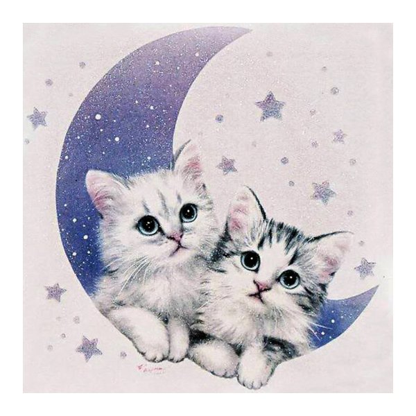 Лунные котики милые